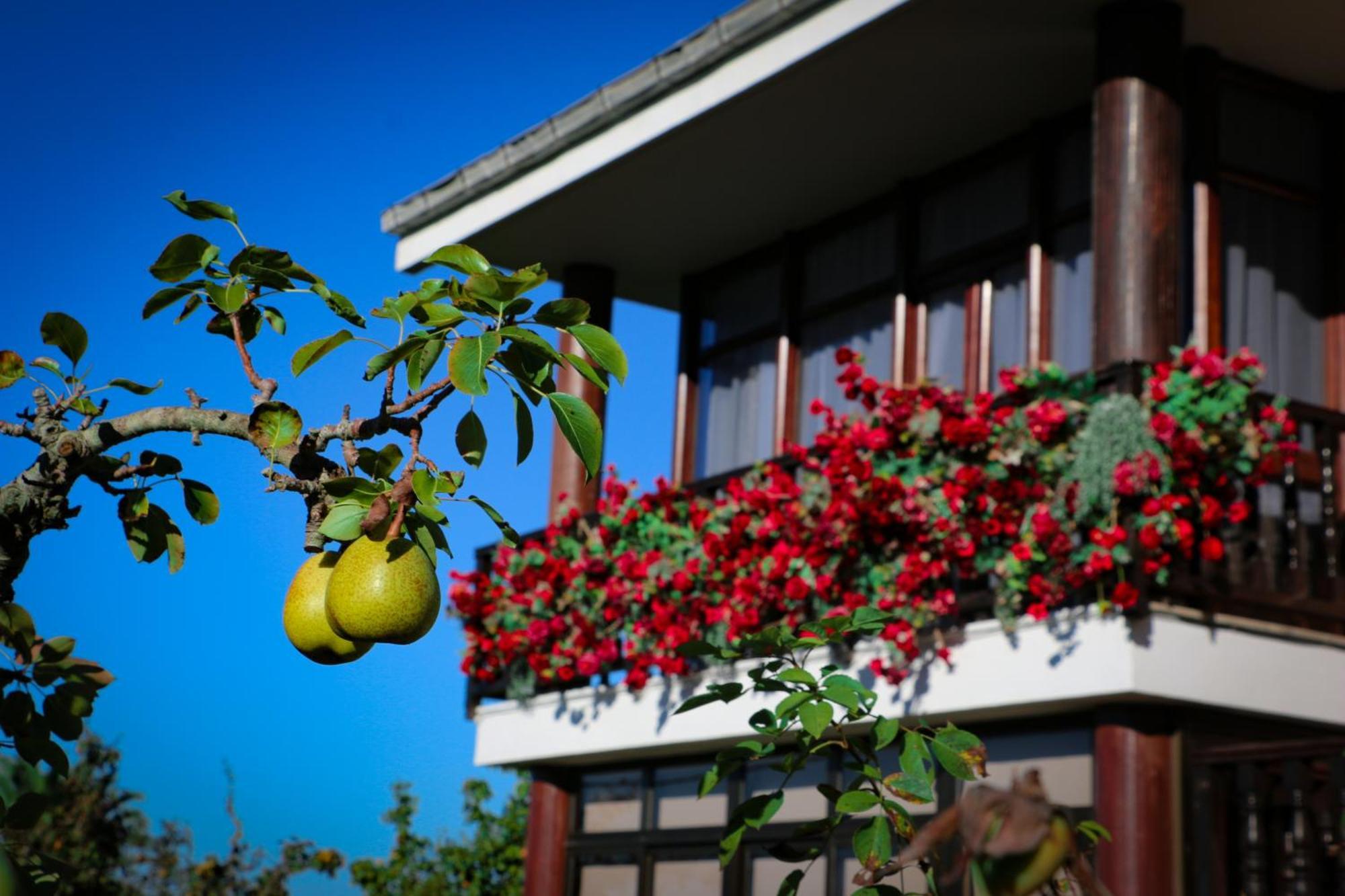 Cosma House Hotell Hinojedo Eksteriør bilde